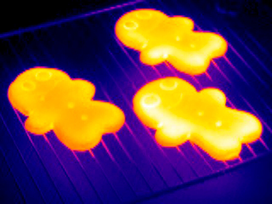 Baked gingerbread,thermogram