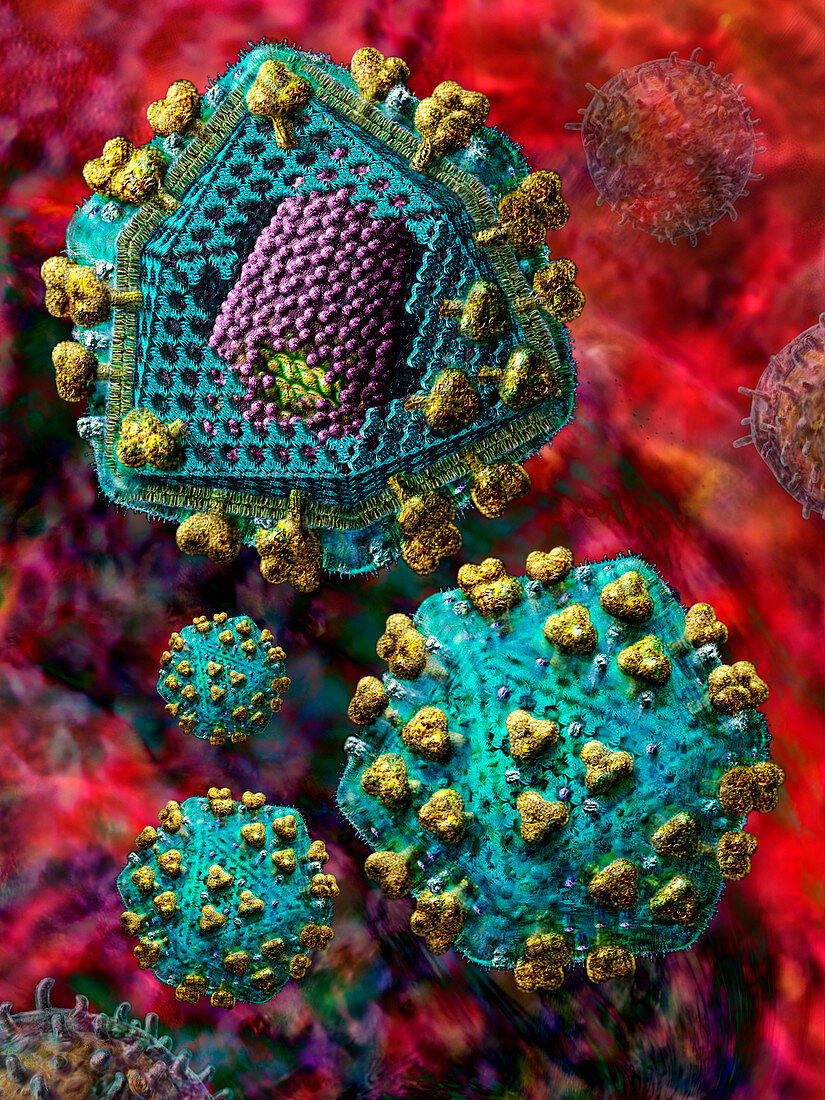 AIDS virus particles