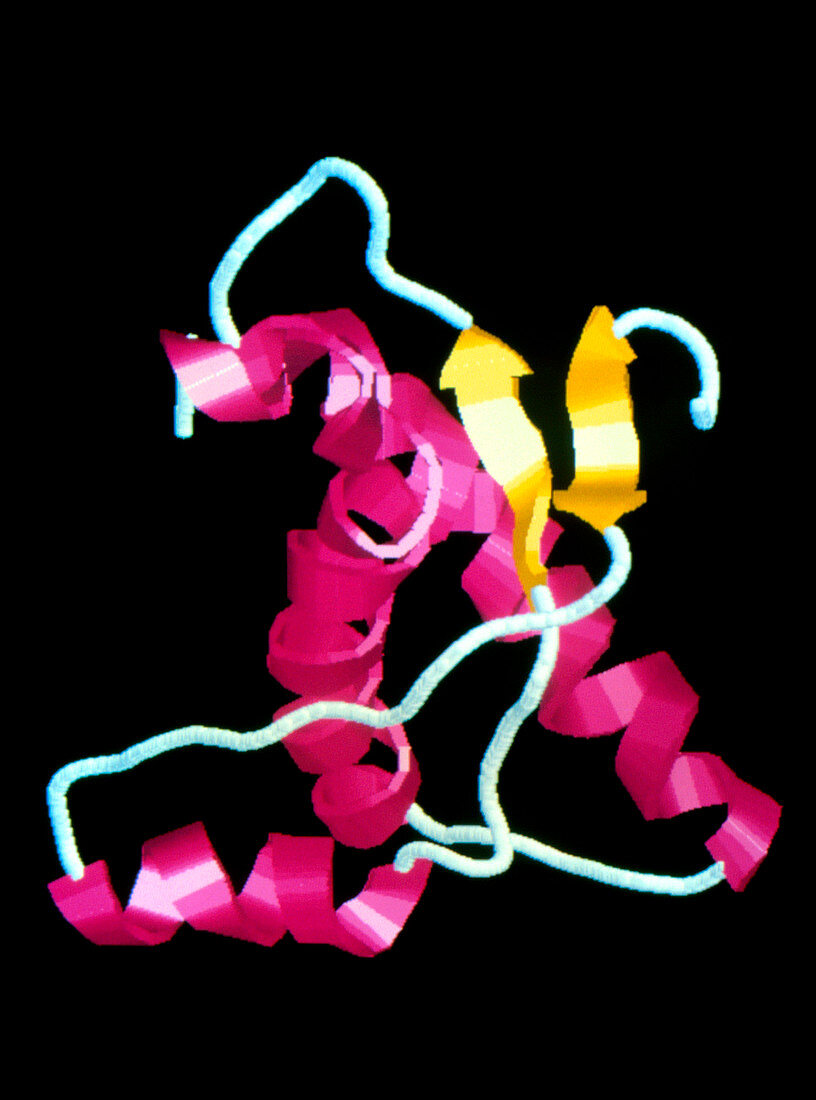 Computer art of Creutzfeldt-Jakob disease prion