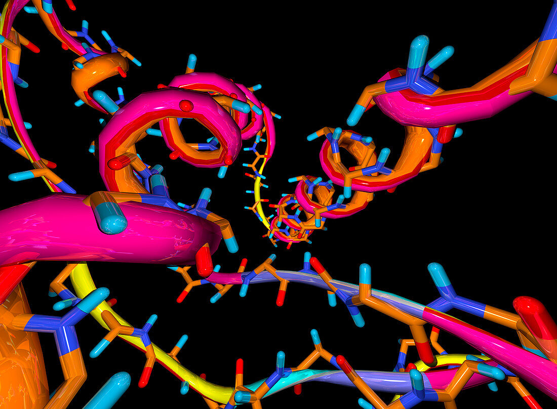 Computer artwork of part of a prion protein