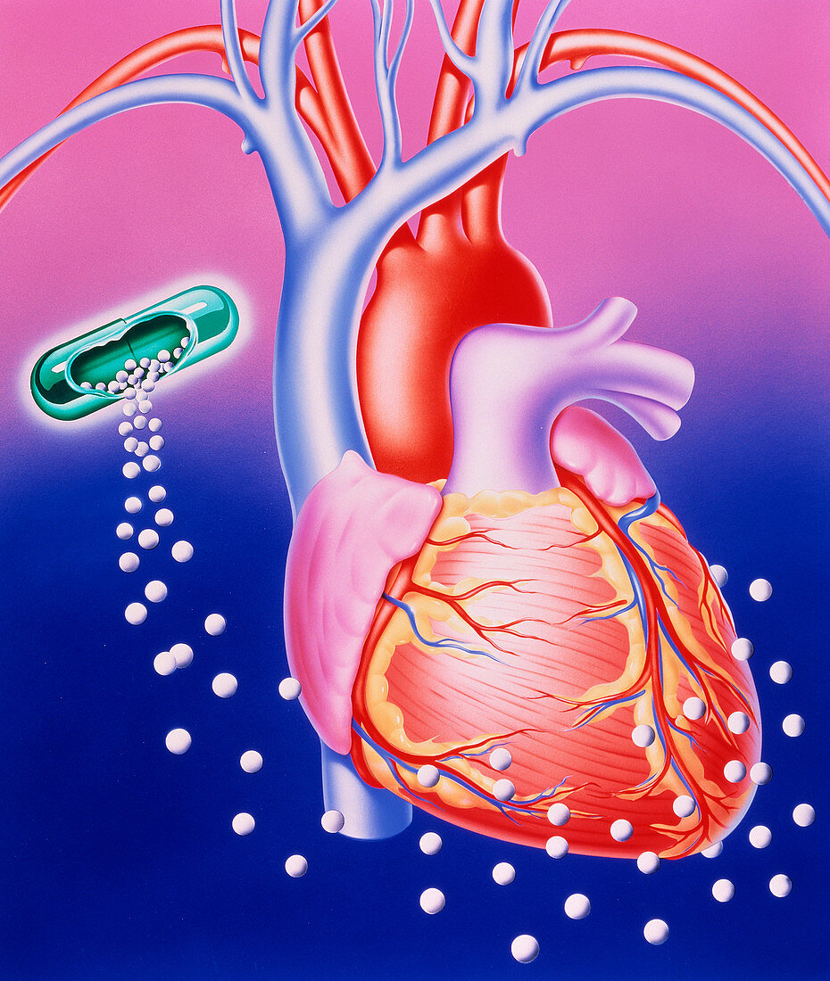 Illustration of a drug dissolving around the heart