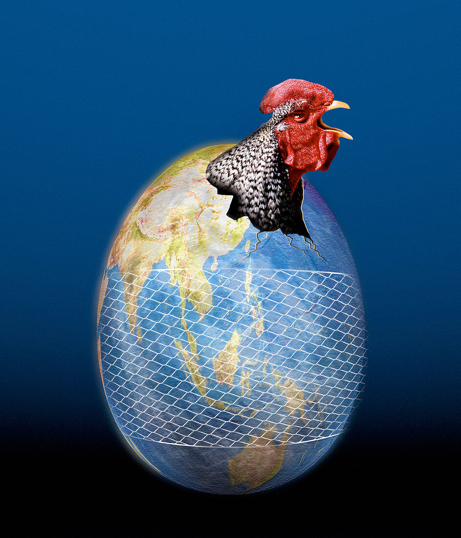 Global avian flu epidemic,conceptual art