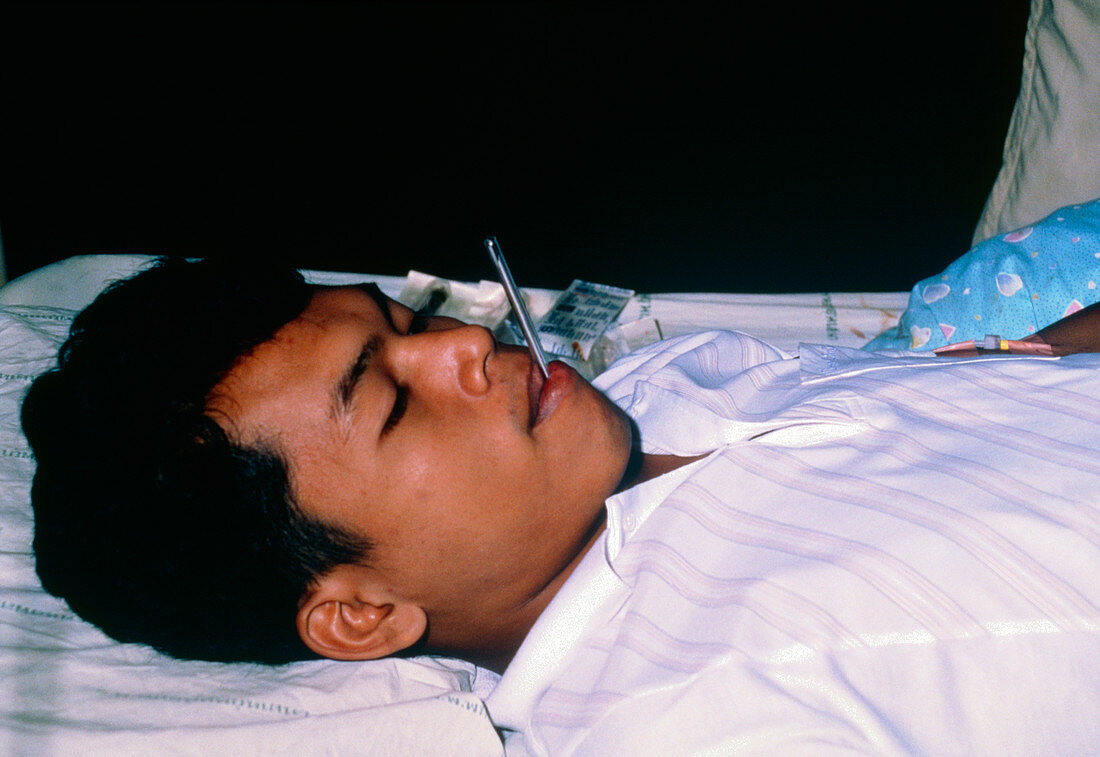 Taking temperature of Thai patient with malaria