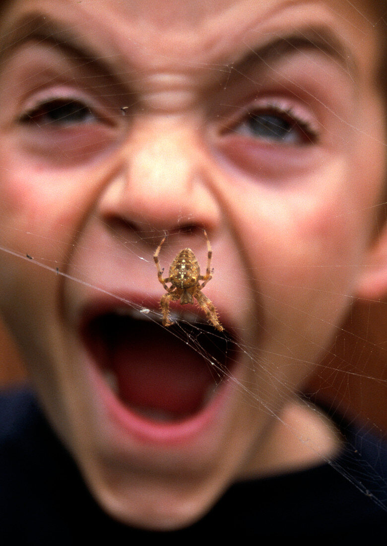 Face of screaming boy frightened by a spider