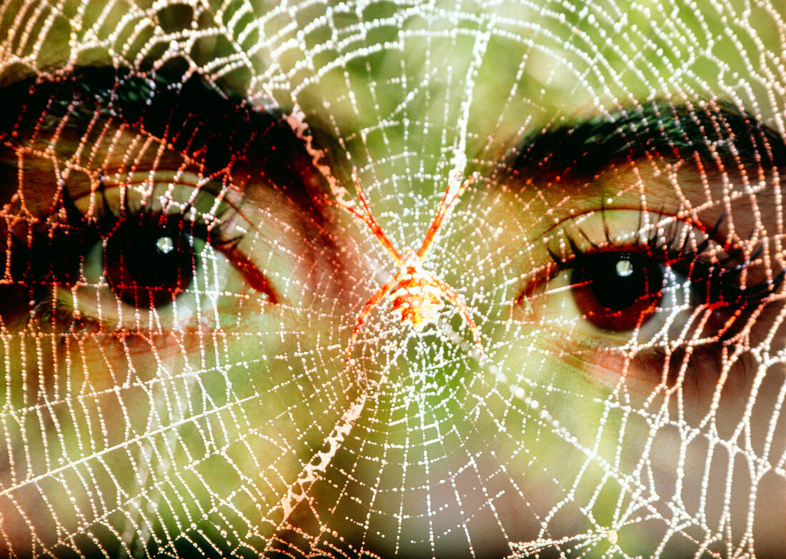 Arachnophobia: woman's face peering at spider web