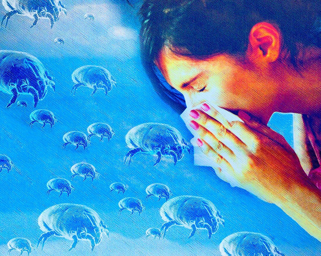 Dust mite allergy,conceptual artwork