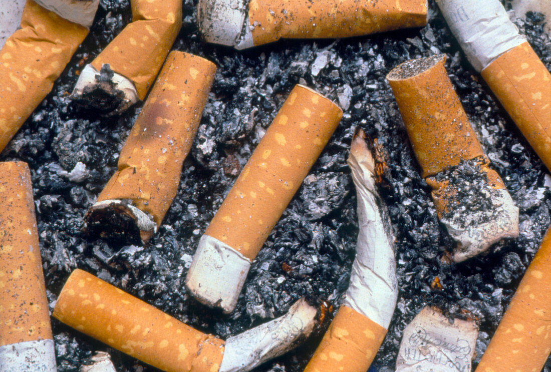 Cigarette butts and ash in an ashtray