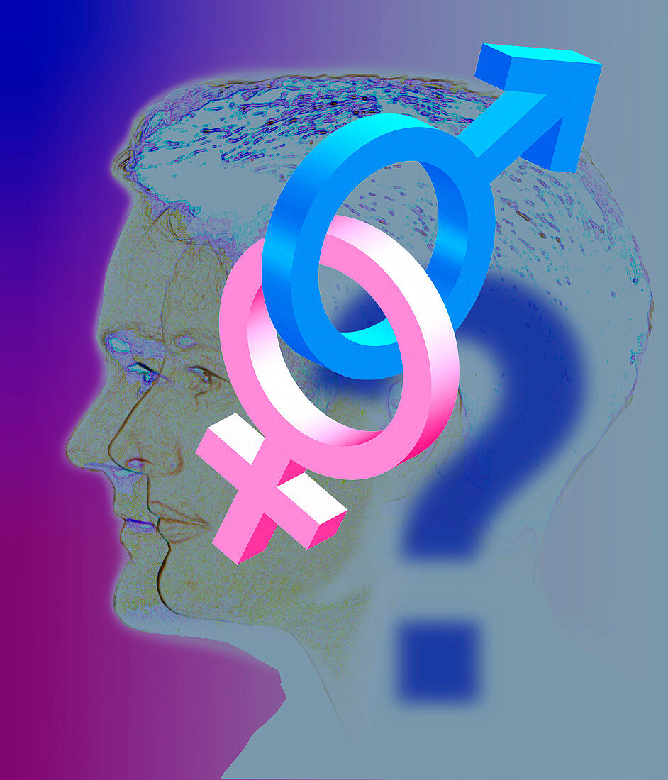 Computer art representing sexual identity crisis