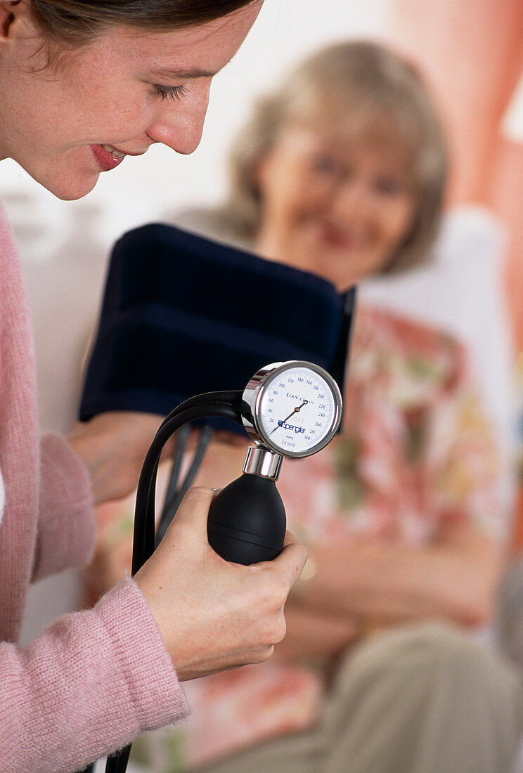 Blood pressure gauge