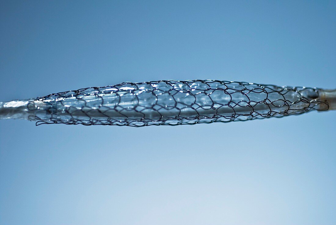 Blood vessel stent