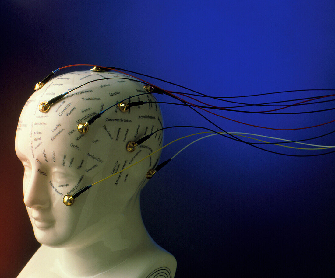 View of EEG electrodes on a model phrenology head