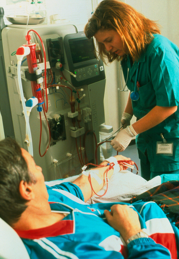 Nurse assists patient undergoing kidney dialysis
