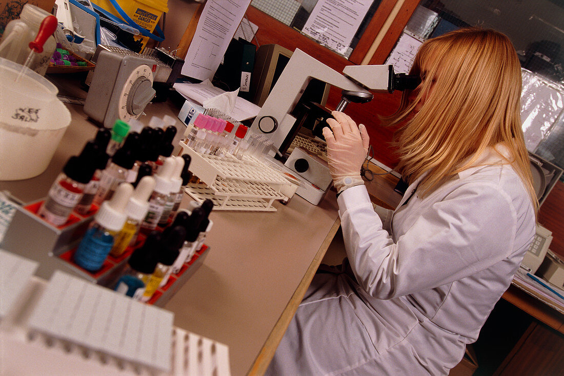 Technician using microscope during blood analysis