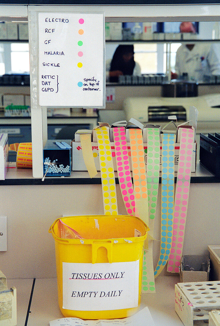 Blood testing laboratory