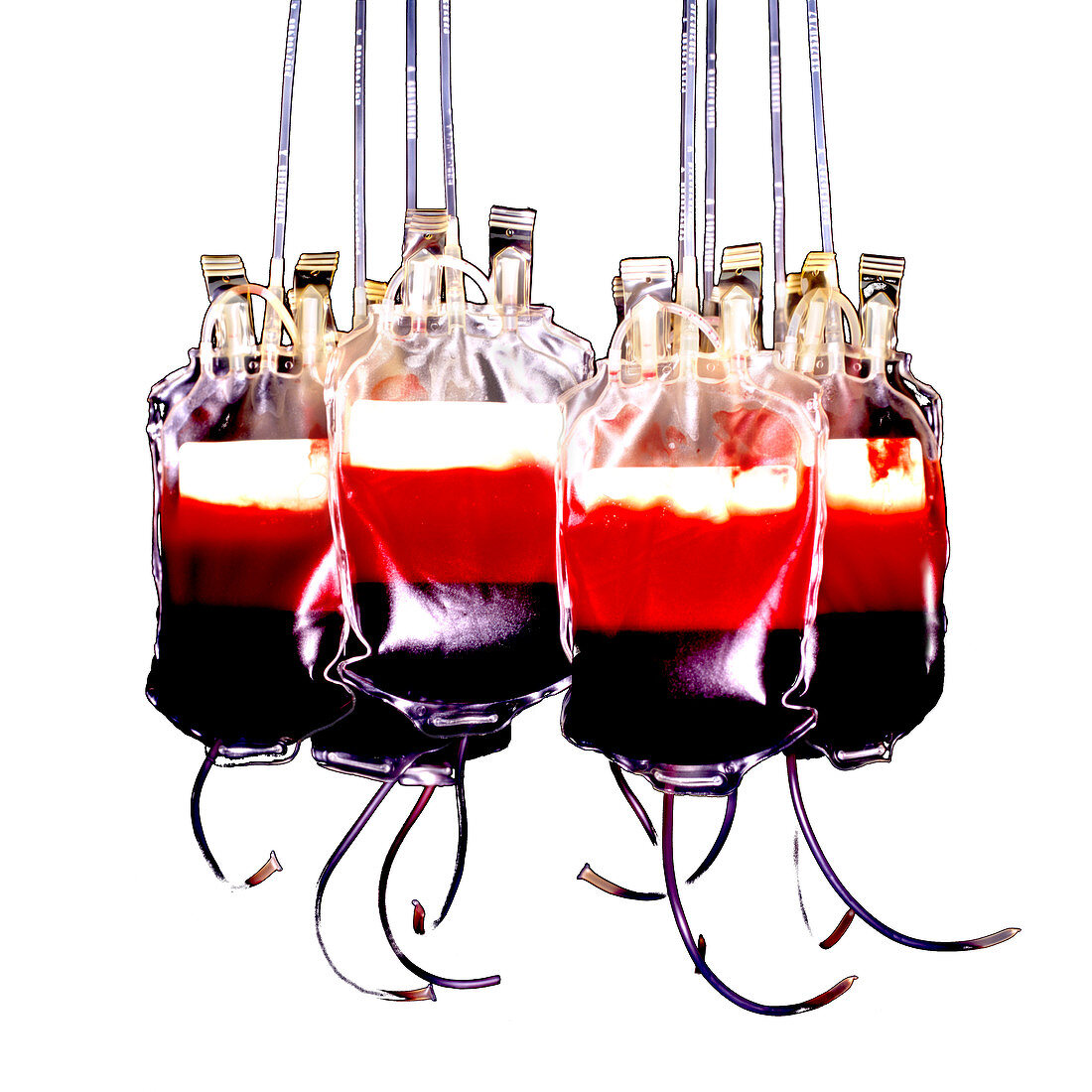 Suspended blood bags