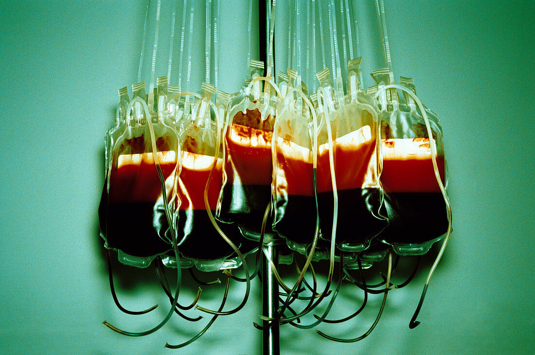 Suspended blood bags