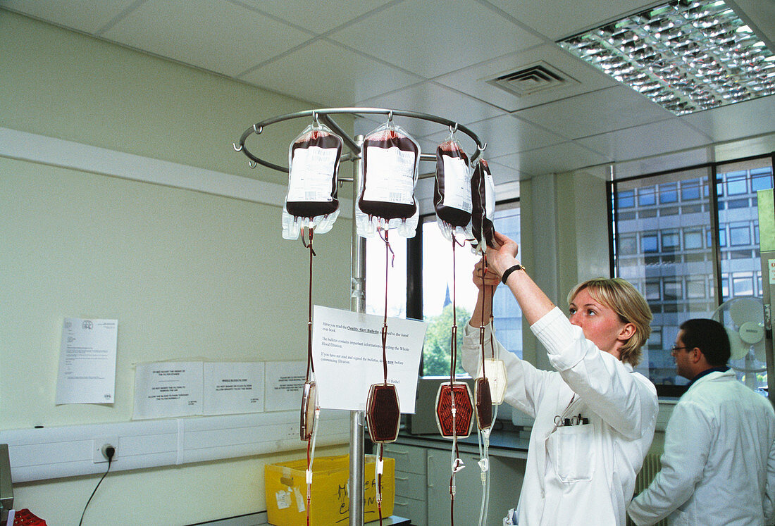 Donor blood filtration