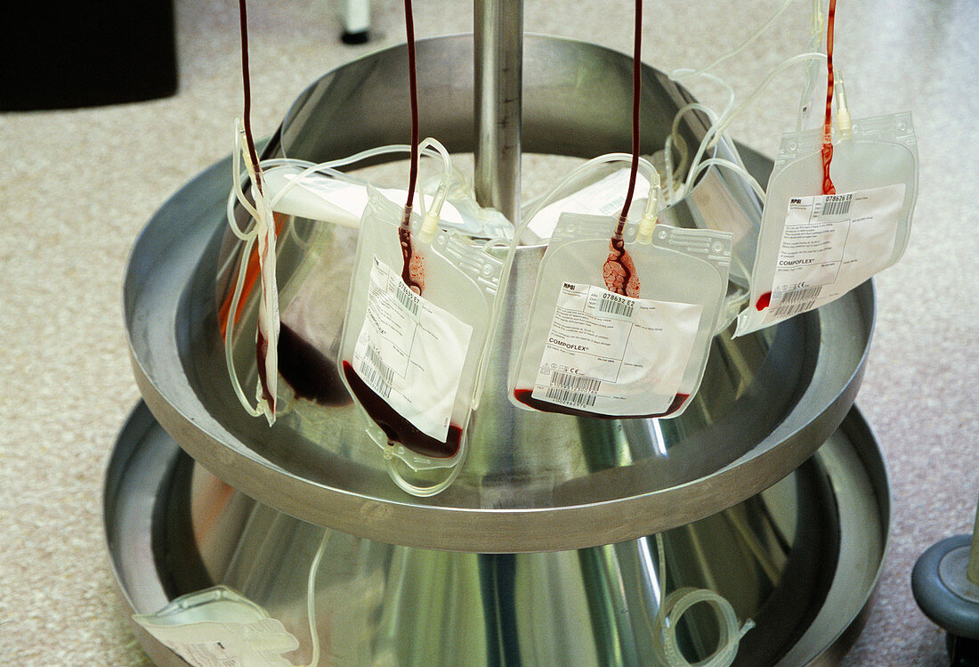 Collecting filtered donor blood