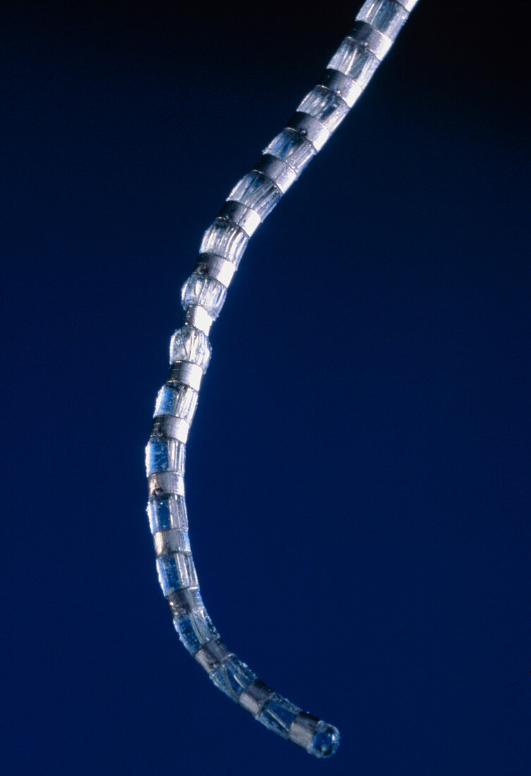 Close-up of electrode array of a cochlear implant