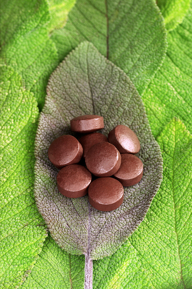 Sage oil pills on sage leaves