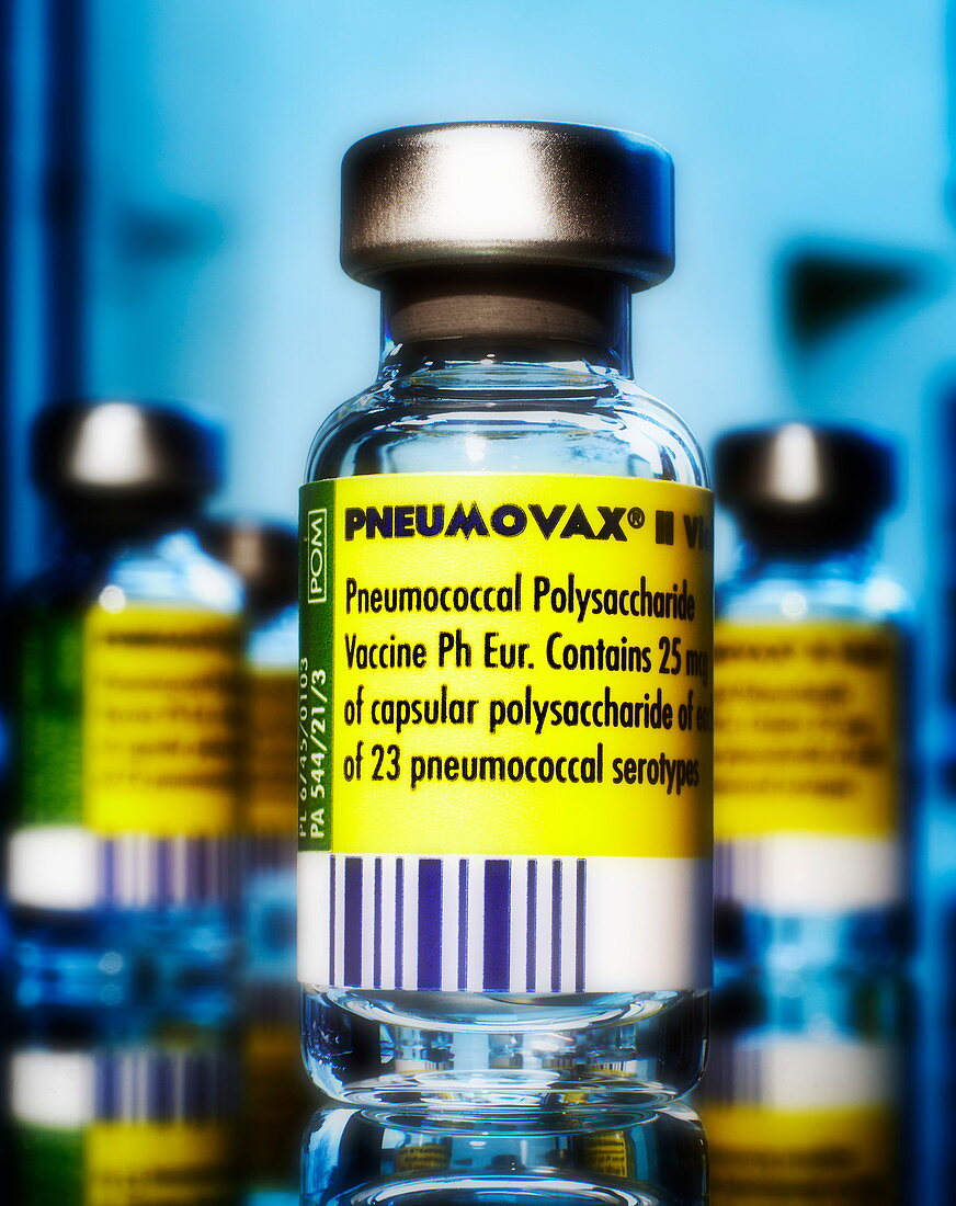 Pneumovax vaccine