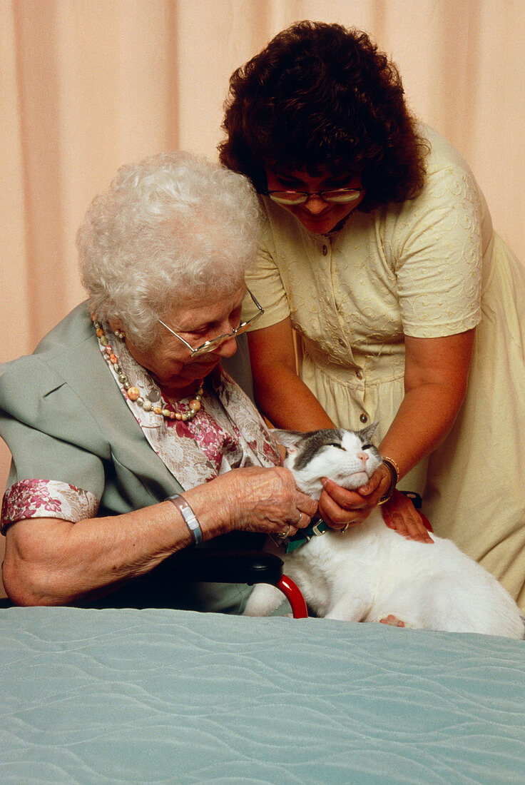 Elderly woman stroking cat as part of therapy