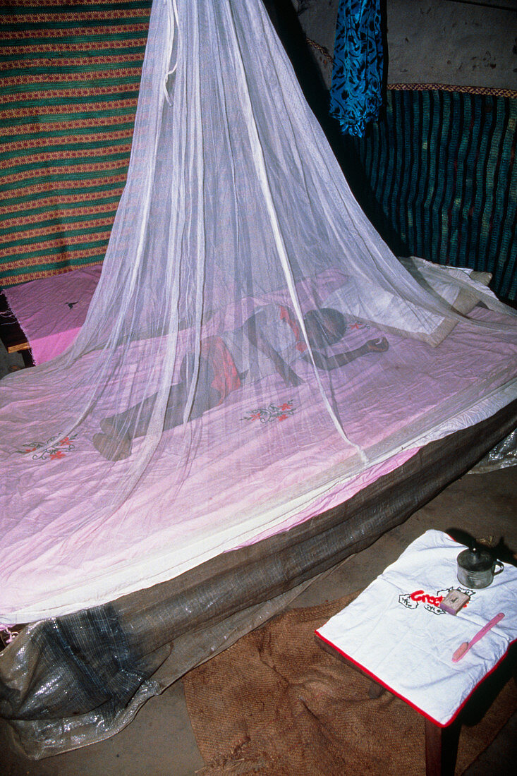 Anti-malaria insecticide-impregnated mosquito net