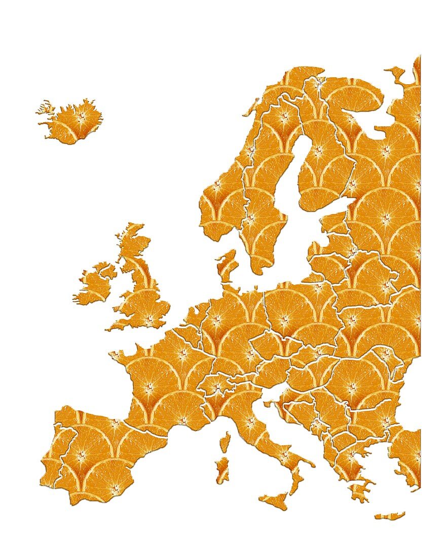 European diet,conceptual artwork