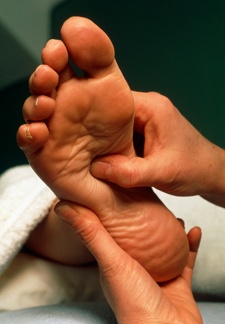 Hands of a reflexologist massaging a woman's foot