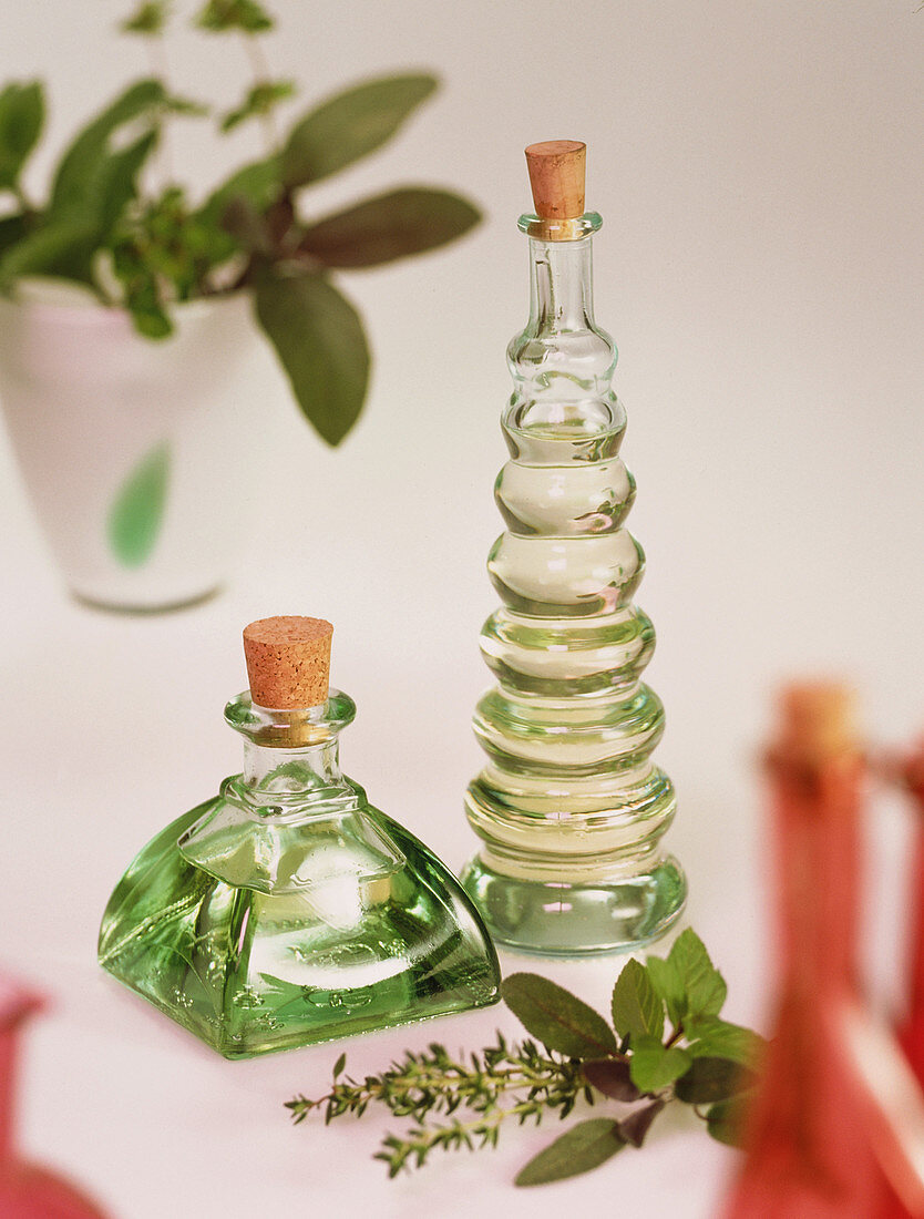 Aromatic oil bottles with assorted herb cuttings