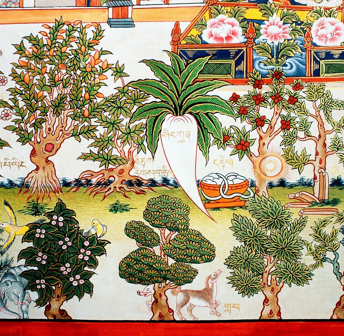 Detail from a Tibetan herbal medicine chart