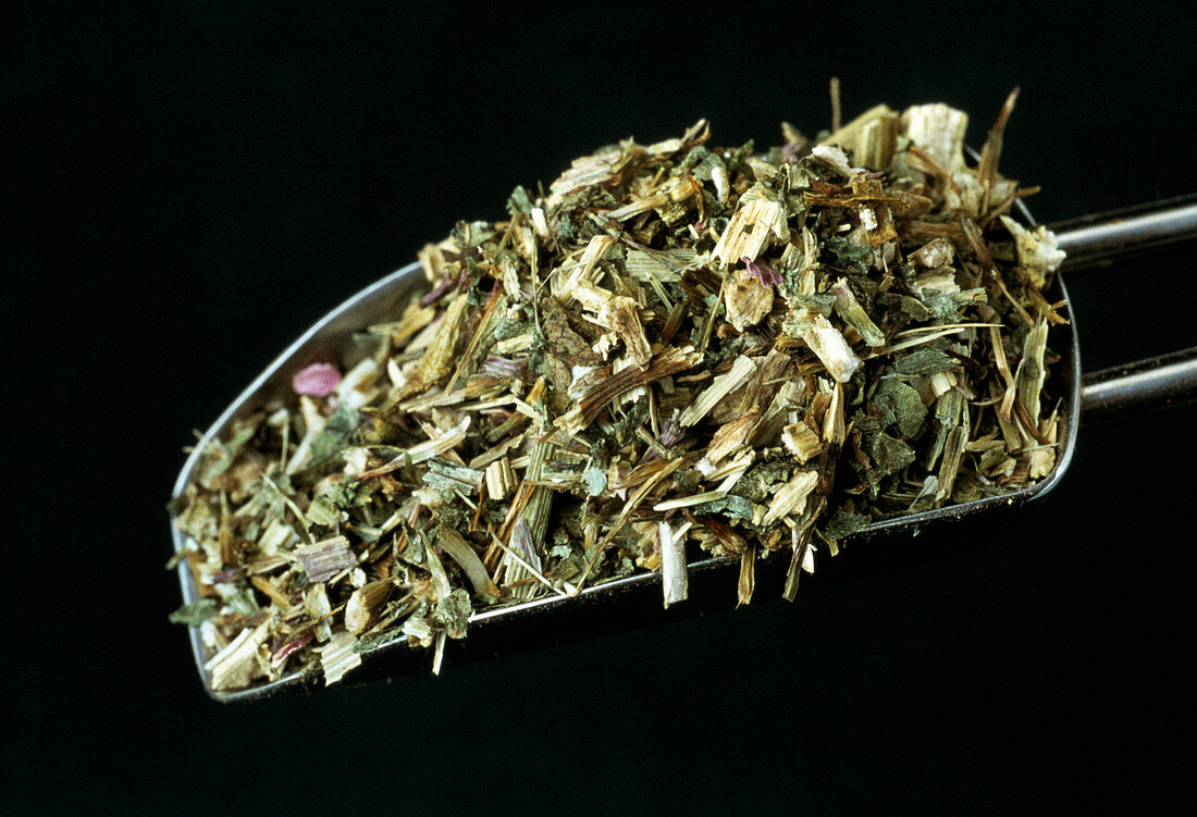 Dried Echinacea