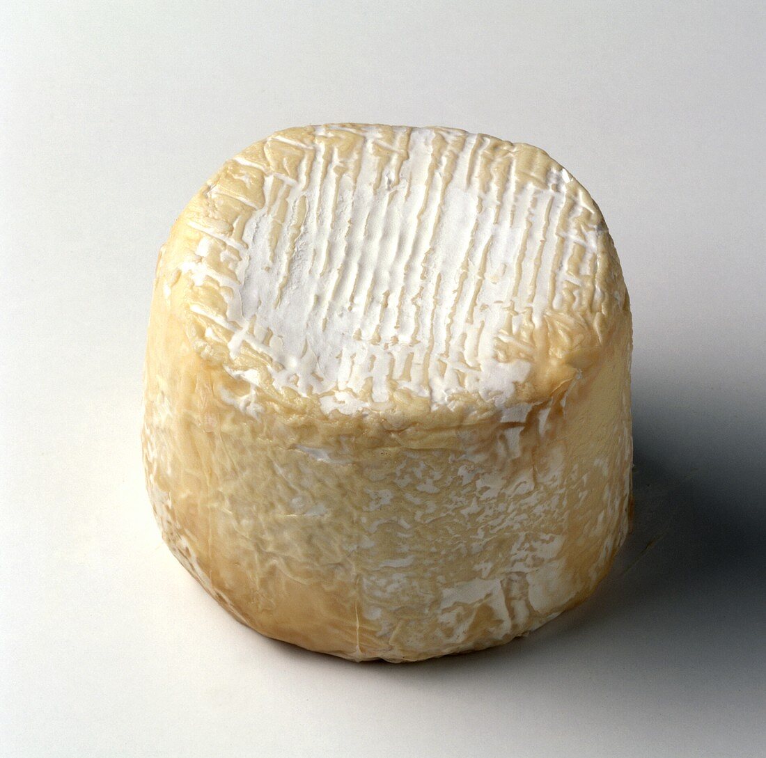 A round goat’s cheese against a white background