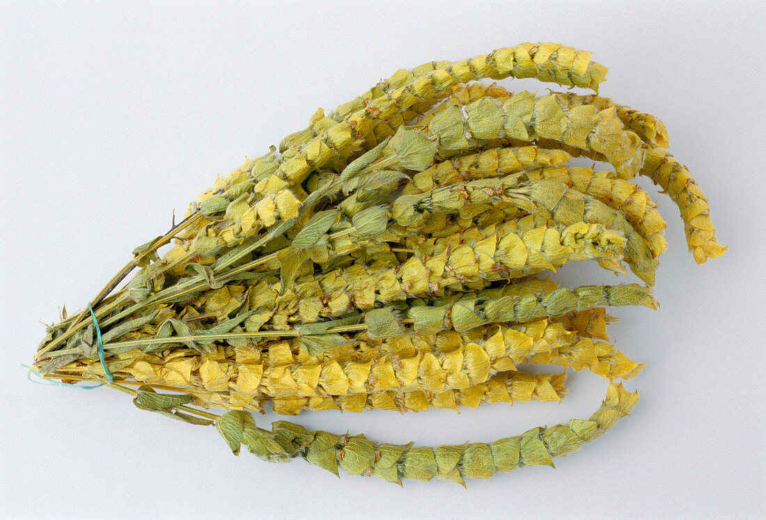 Dried spearmint