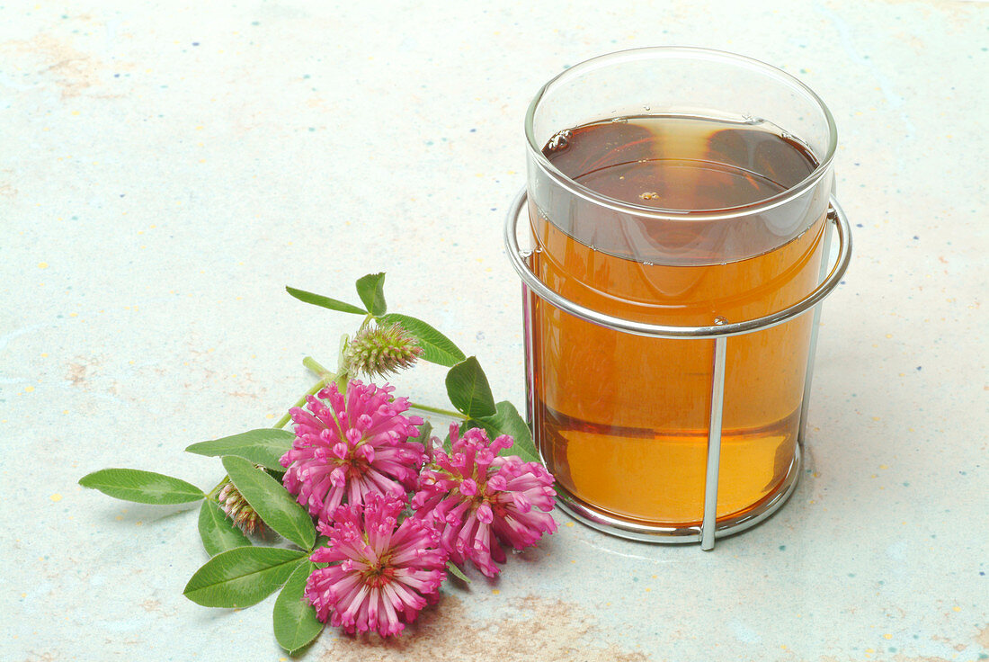 Red clover tea