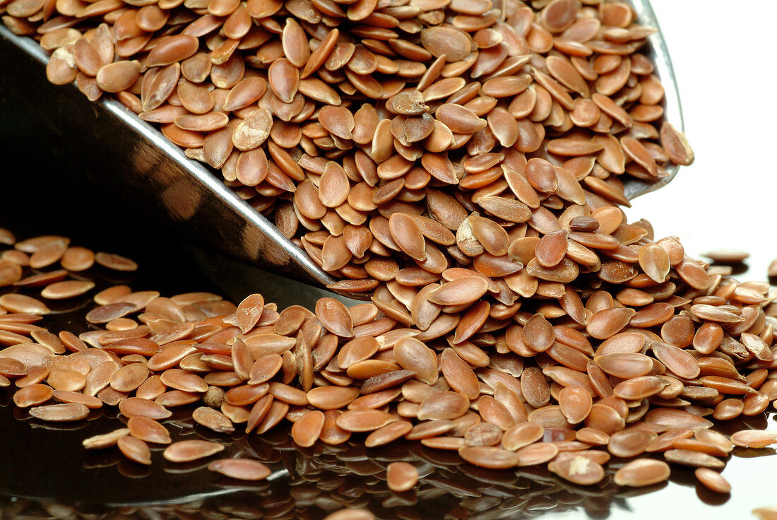 Flax seeds in a scoop
