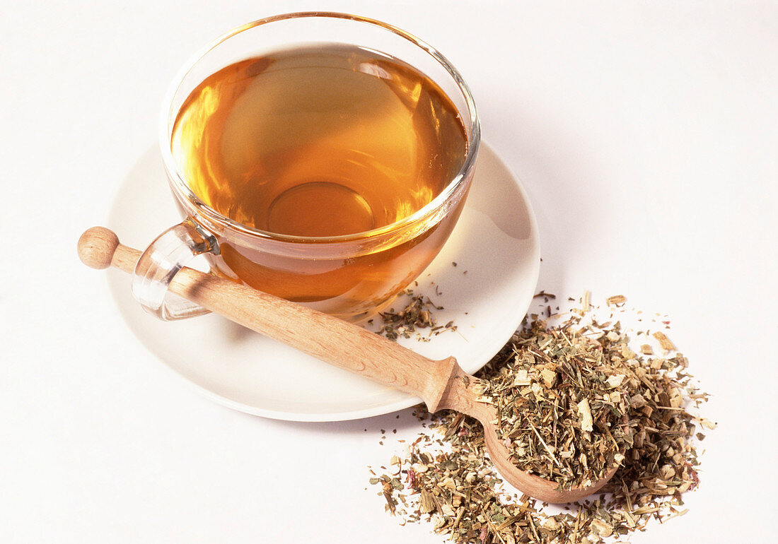 Purple coneflower tea