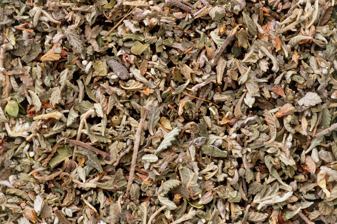 Dried daminana leaves