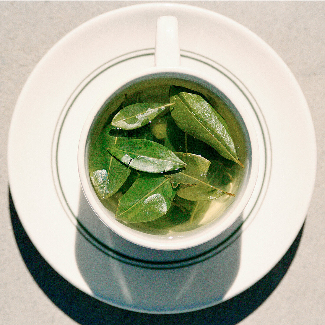 Coca leaf tea