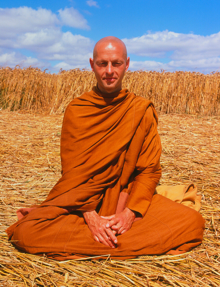 Buddhist monk meditating in a crop circle