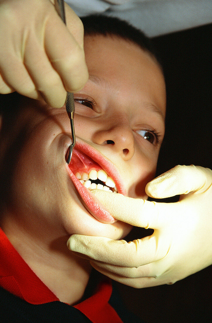 Orthodontic examination