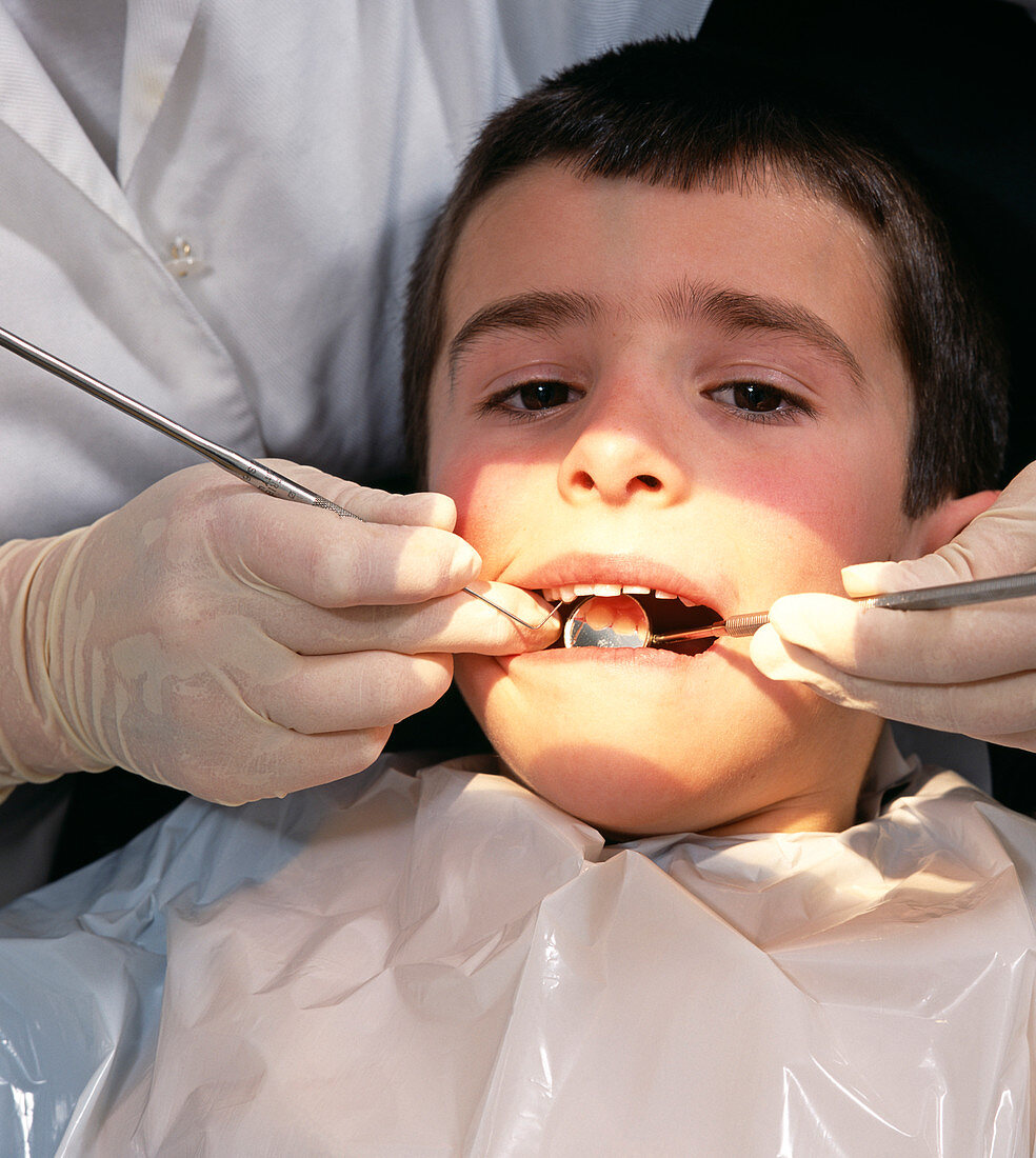 Dental check-up