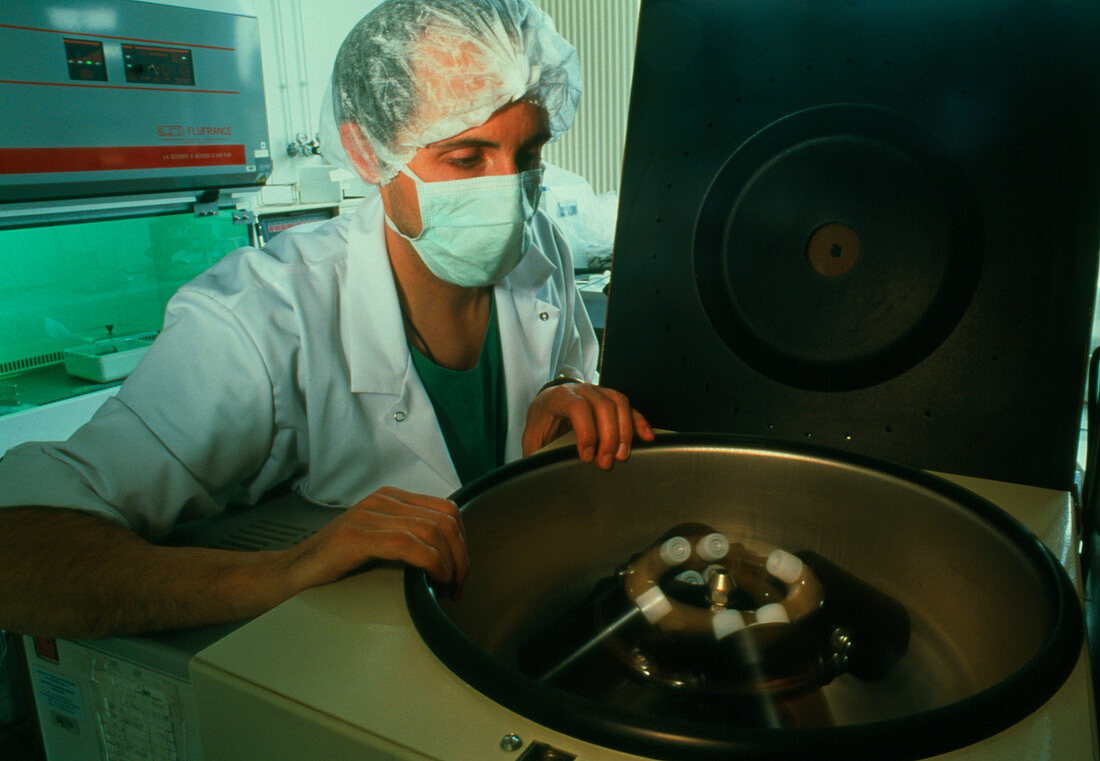 Technician centrifuging tubes of human sperm