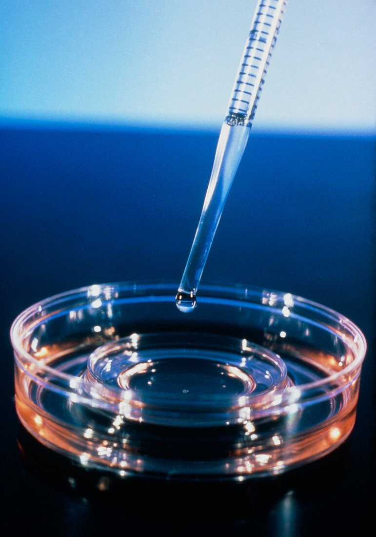 In vitro fertilisation