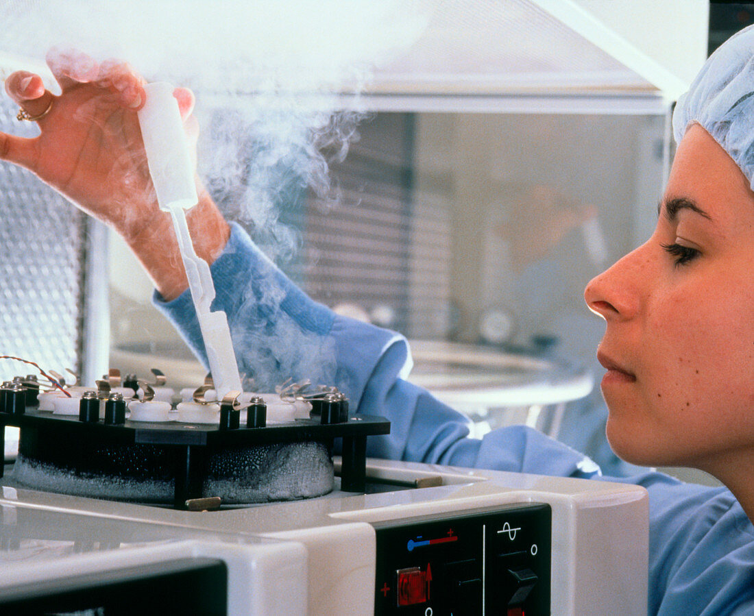 hmo laboratory: technician freezing sperm & eggs