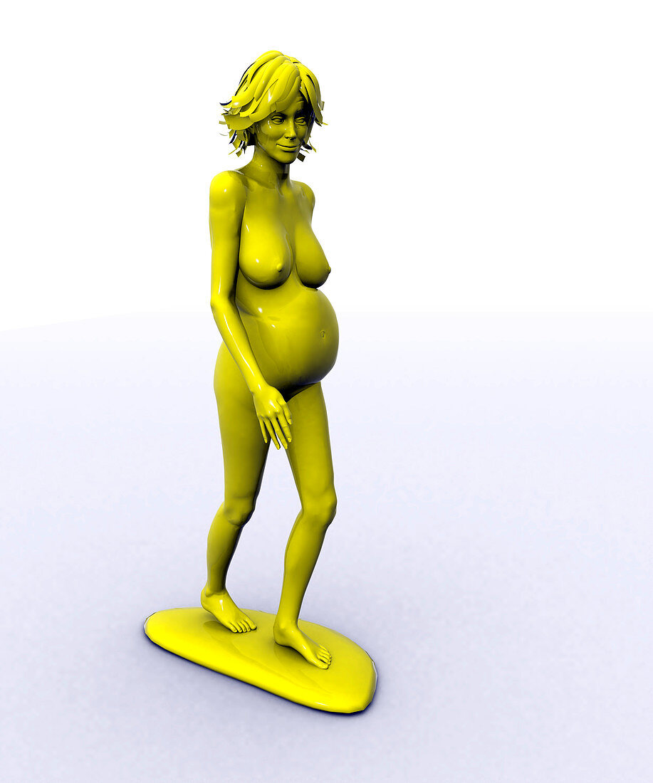 Model of a pregnant woman
