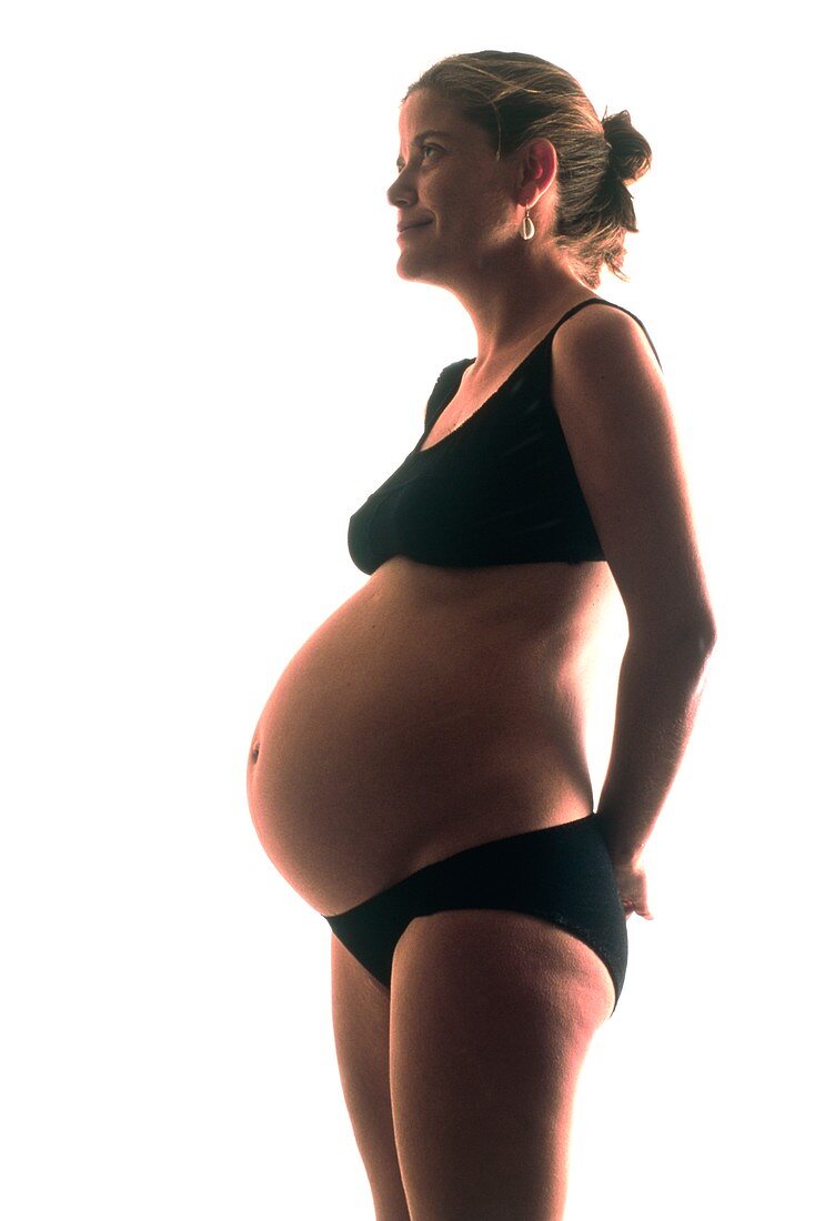 View of a woman 24.5 weeks pregnant