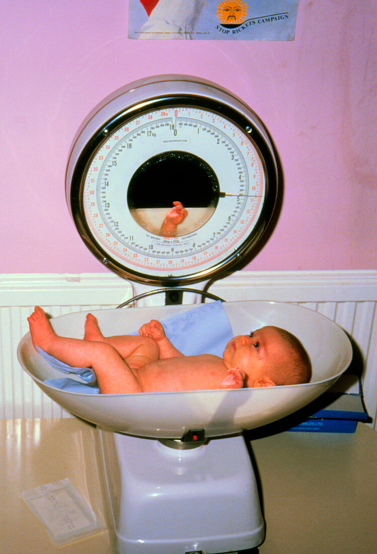 Three month old baby being weighed