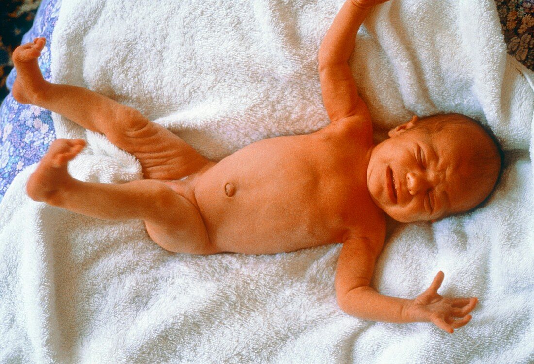 Newborn baby girl being dried after a bath