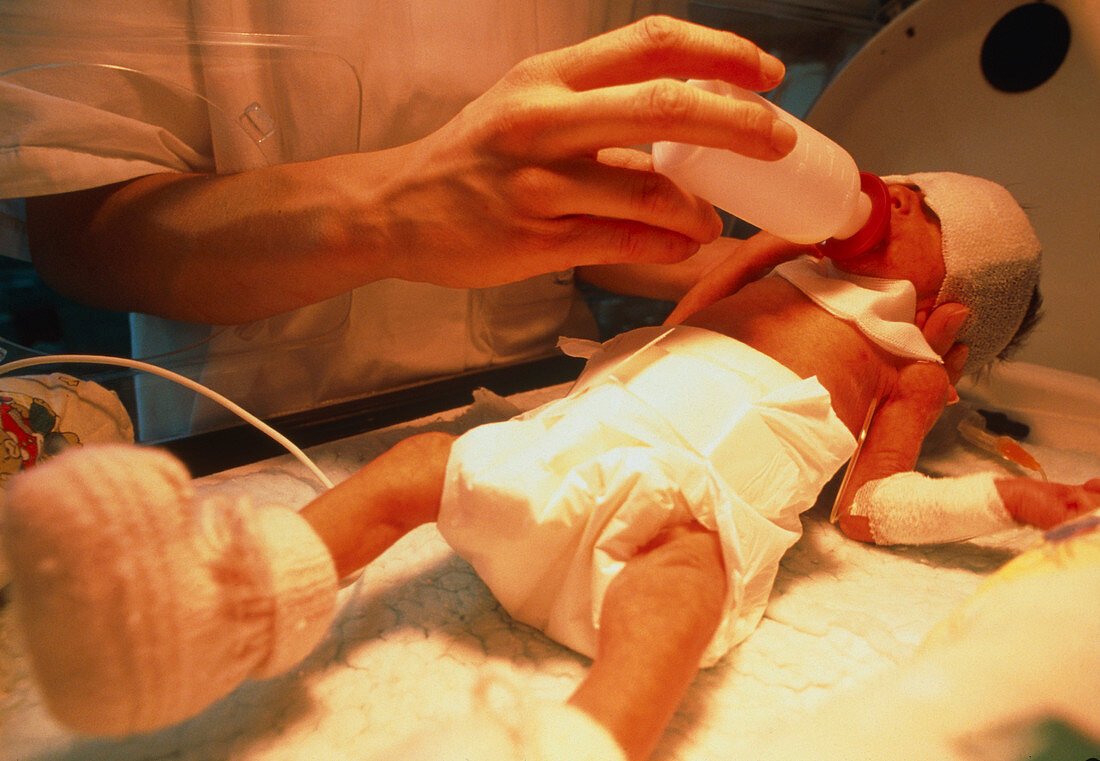 Premature baby in an incubator being bottle-fed